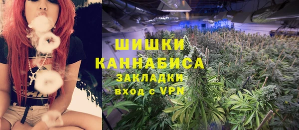 ПСИЛОЦИБИНОВЫЕ ГРИБЫ Алексин