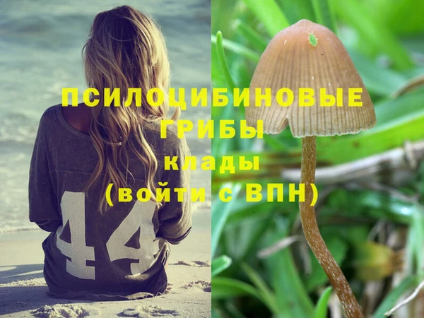 мет Алзамай