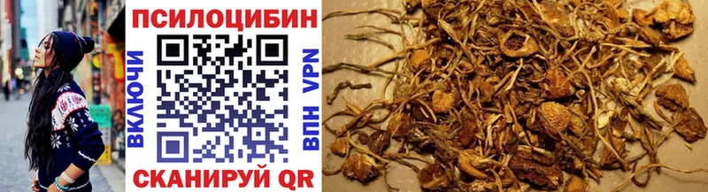 Галлюциногенные грибы мухоморы  Алушта 