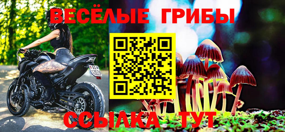 Псилоцибиновые грибы мухоморы  Галлюциногенные грибы GOLDEN TEACHER  Вход с VPN  Алушта 